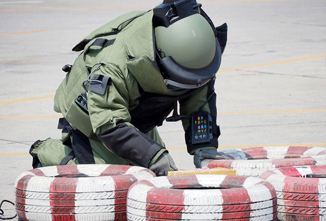 bomb disposal expert training