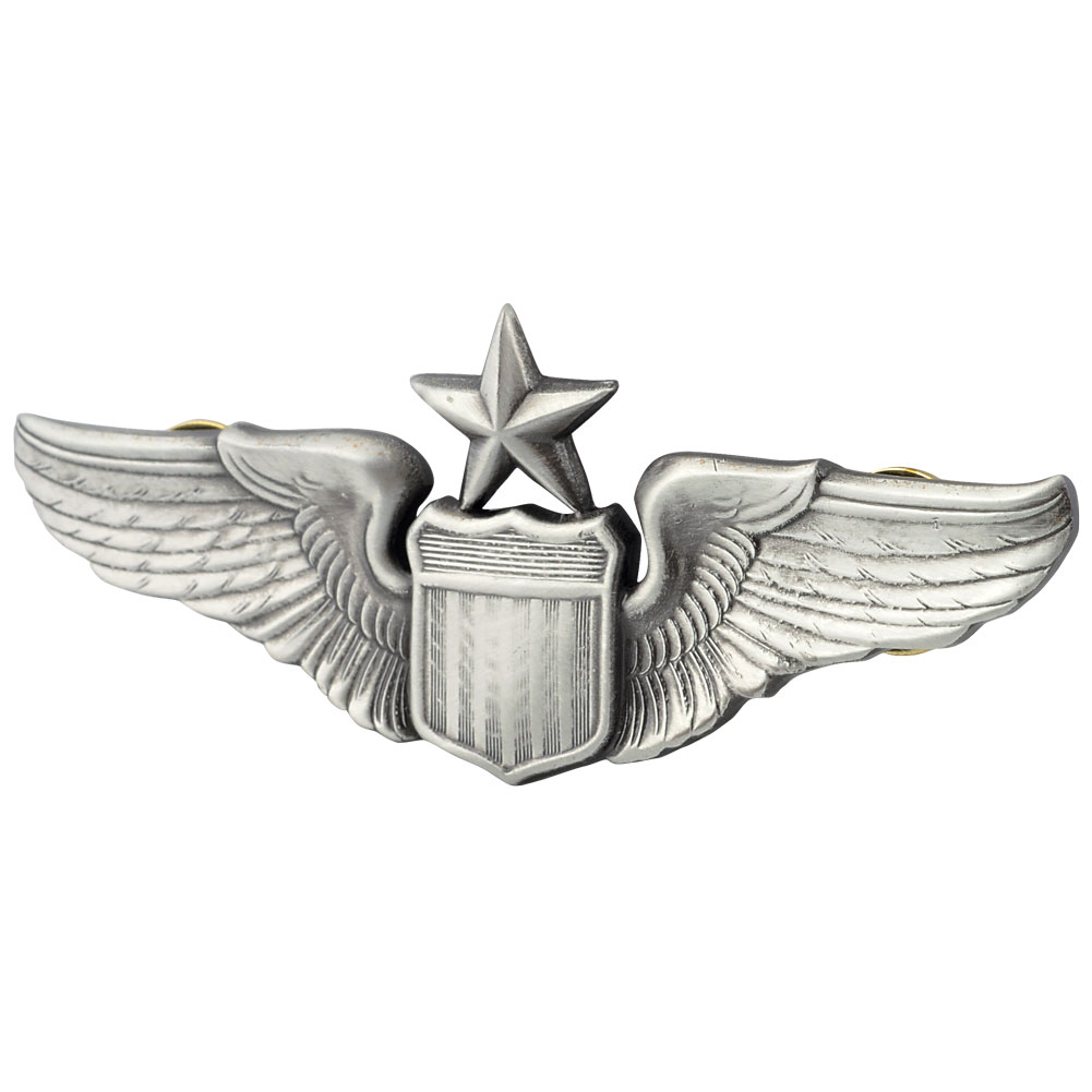 US Air Force Pin US 14th Air Force Wings Badge Pin Insignia 
