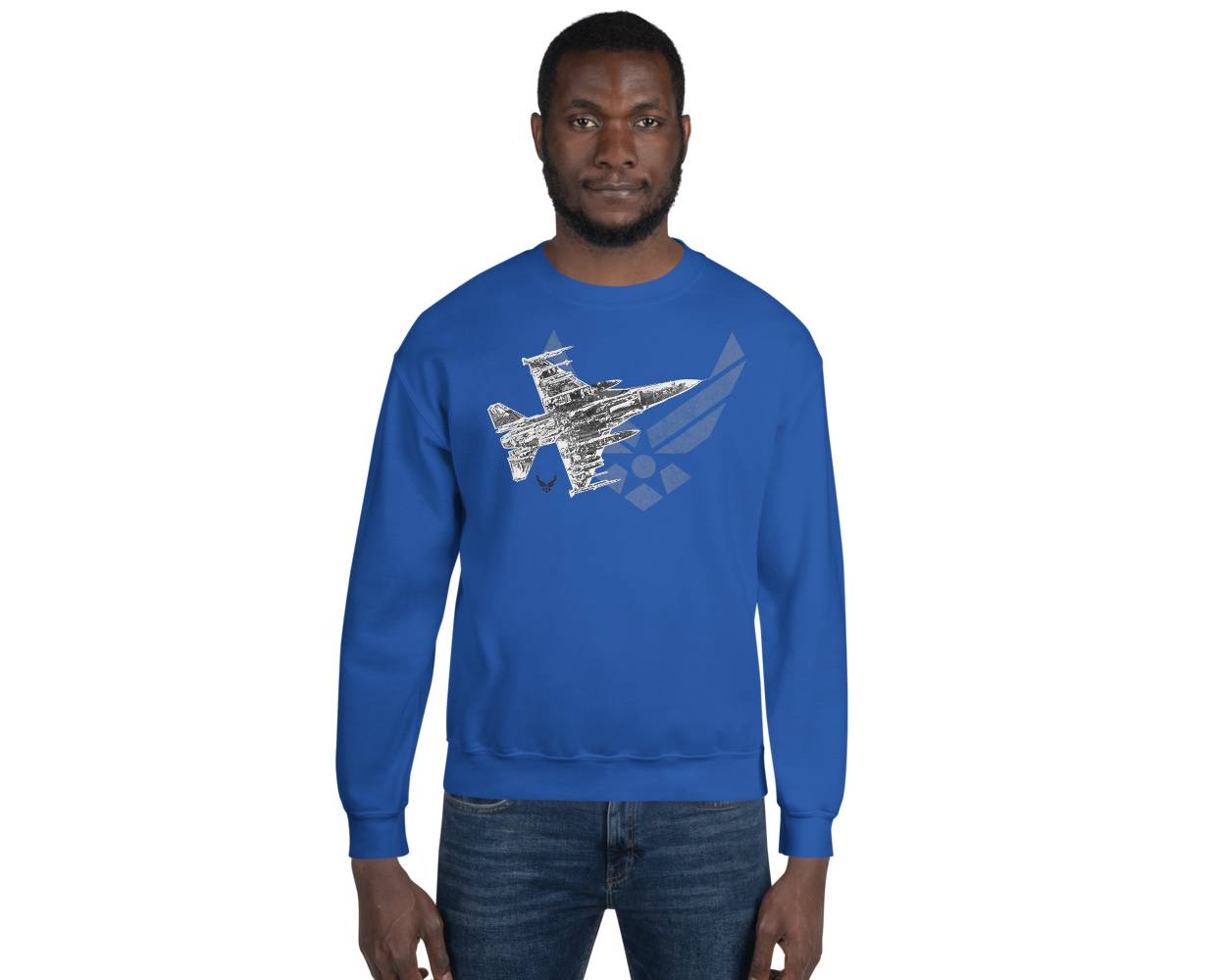 U.S. Air Force Jet and Logo Sweatshirt