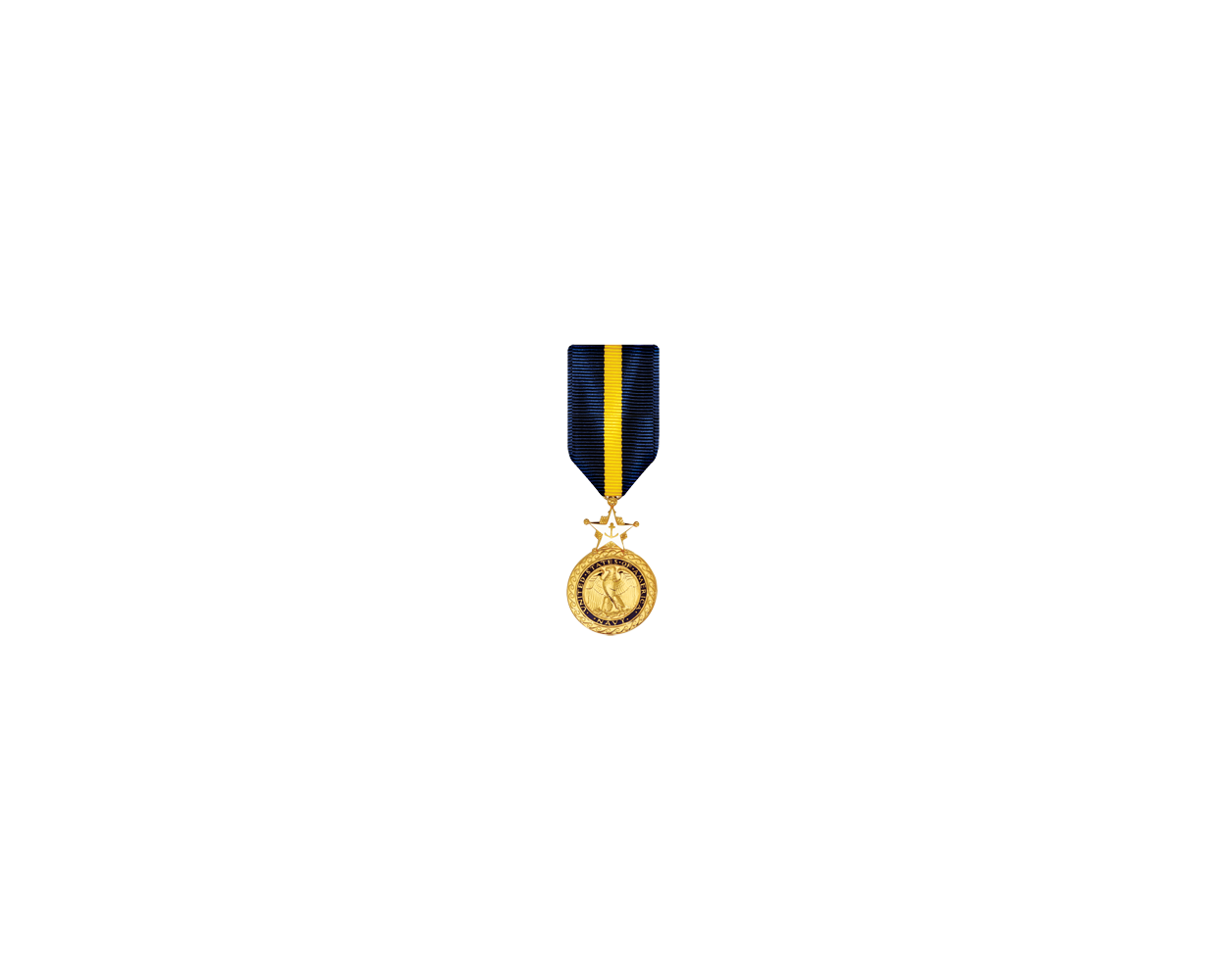 USAMM - Navy Distinguished Service Anodized Medal