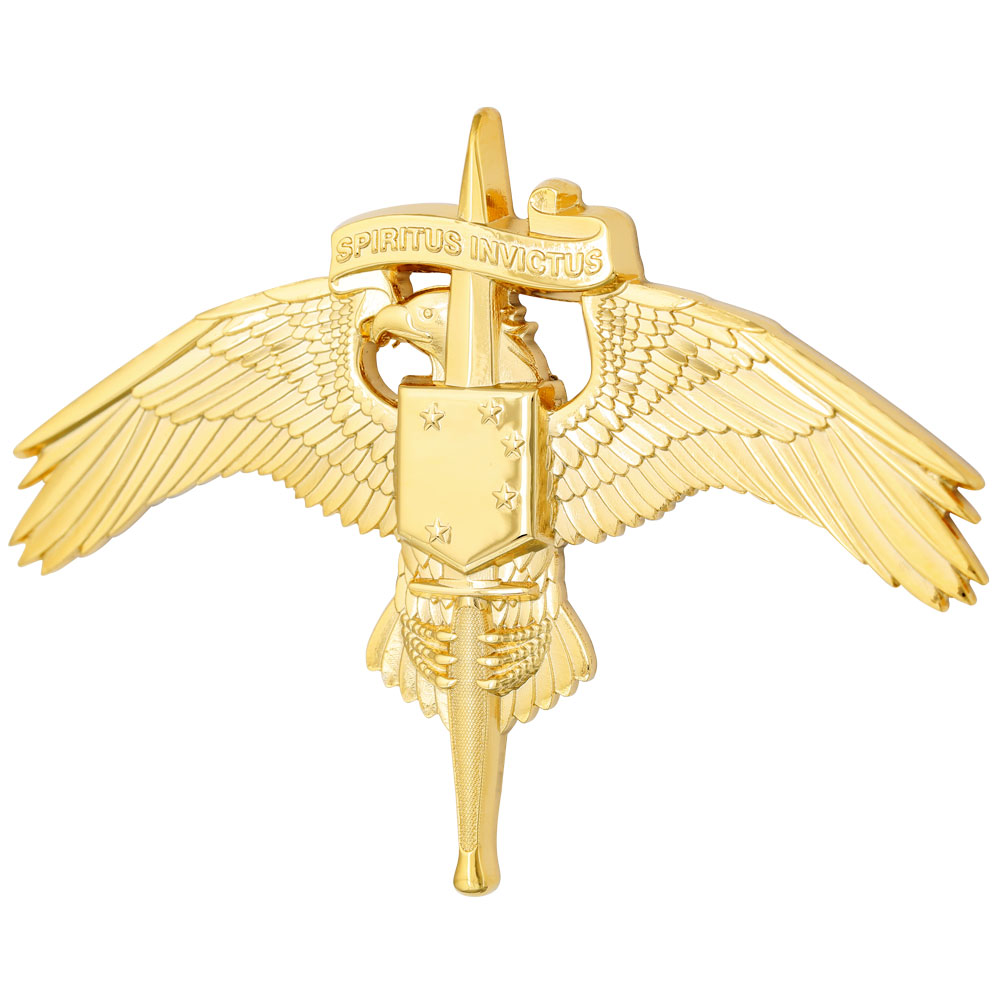MARINE CORPS BADGE:MARSOC BRONZE MARINE CORPS FORCES SPECIAL OPERATIONS U.S 